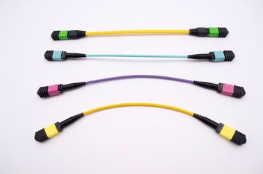 China Cordón de remiendo de la fibra óptica de MPO/MTP/cable/puente proveedor