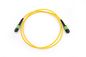 Cordón de remiendo de la fibra óptica de MPO/MTP/cable/puente proveedor