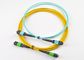 Cordón de remiendo de la fibra óptica de MPO/MTP/cable/puente proveedor